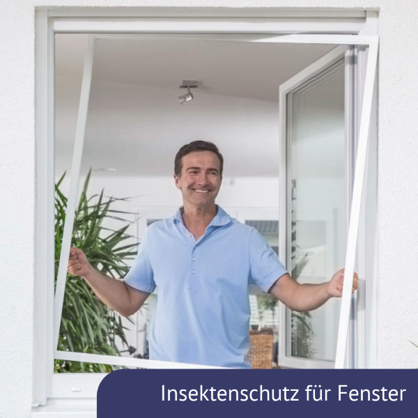 Insektenschutz für Fenster