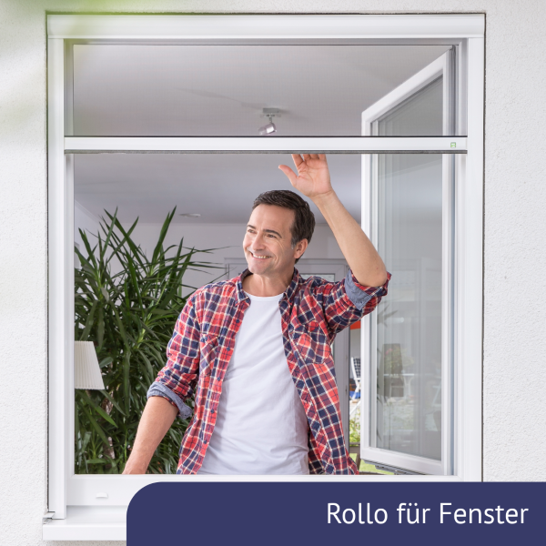 Rollo für Fenster