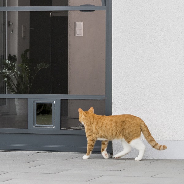 Kratzfestes Gewebe und Katzenklappe